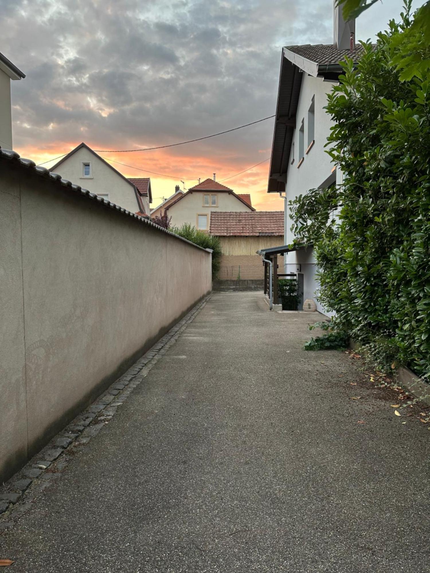 Villa Schmitt 塞莱斯塔 外观 照片
