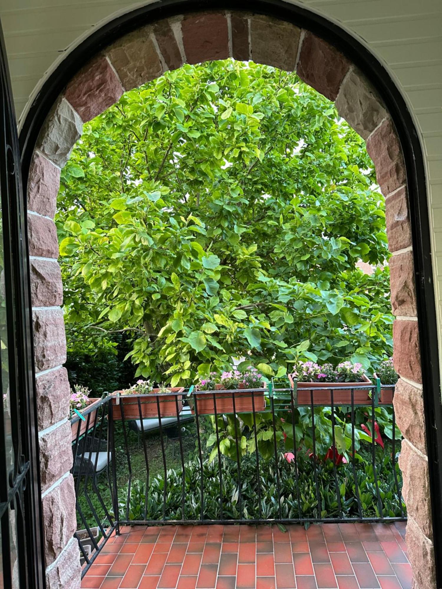 Villa Schmitt 塞莱斯塔 外观 照片