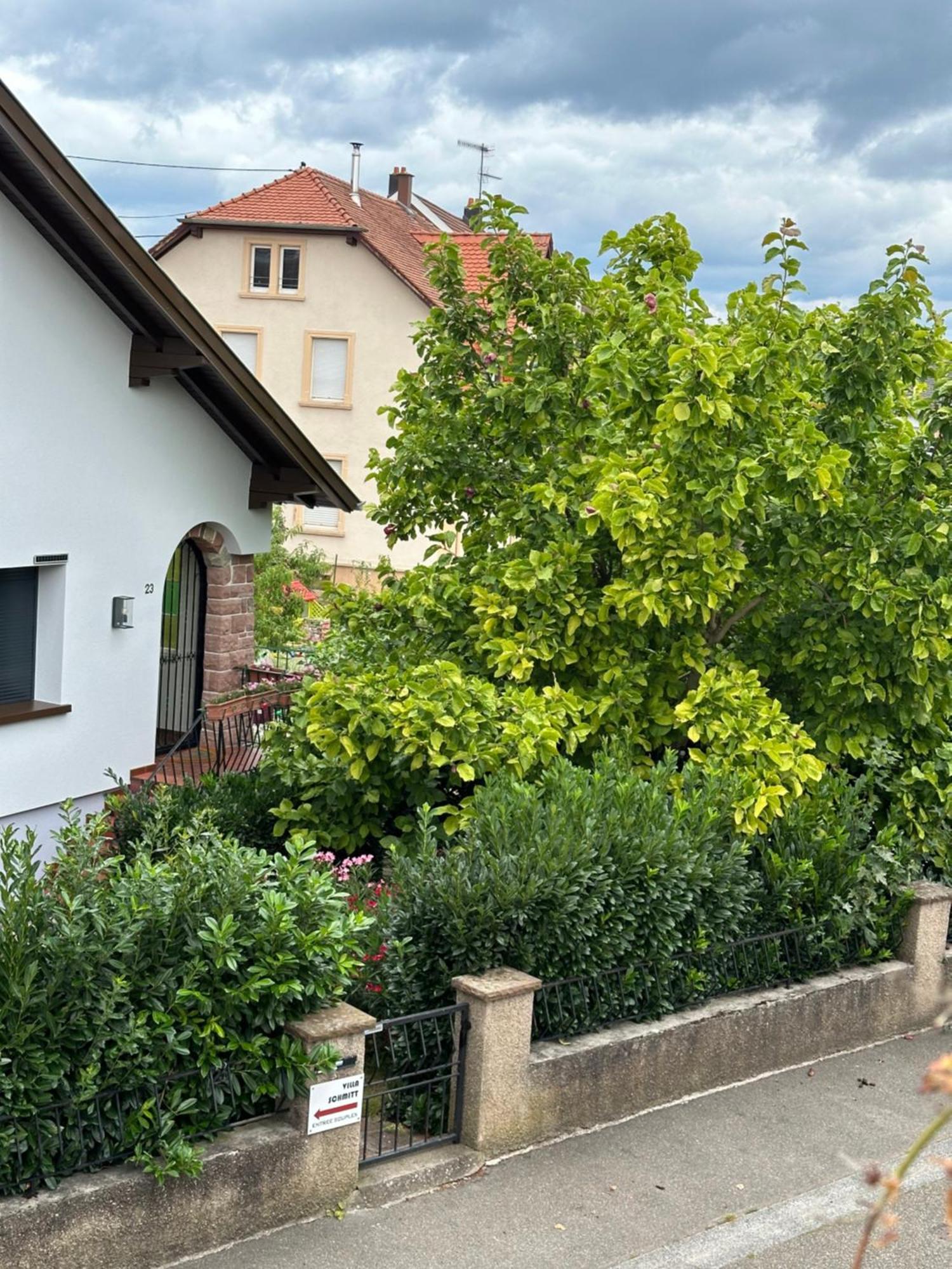 Villa Schmitt 塞莱斯塔 外观 照片