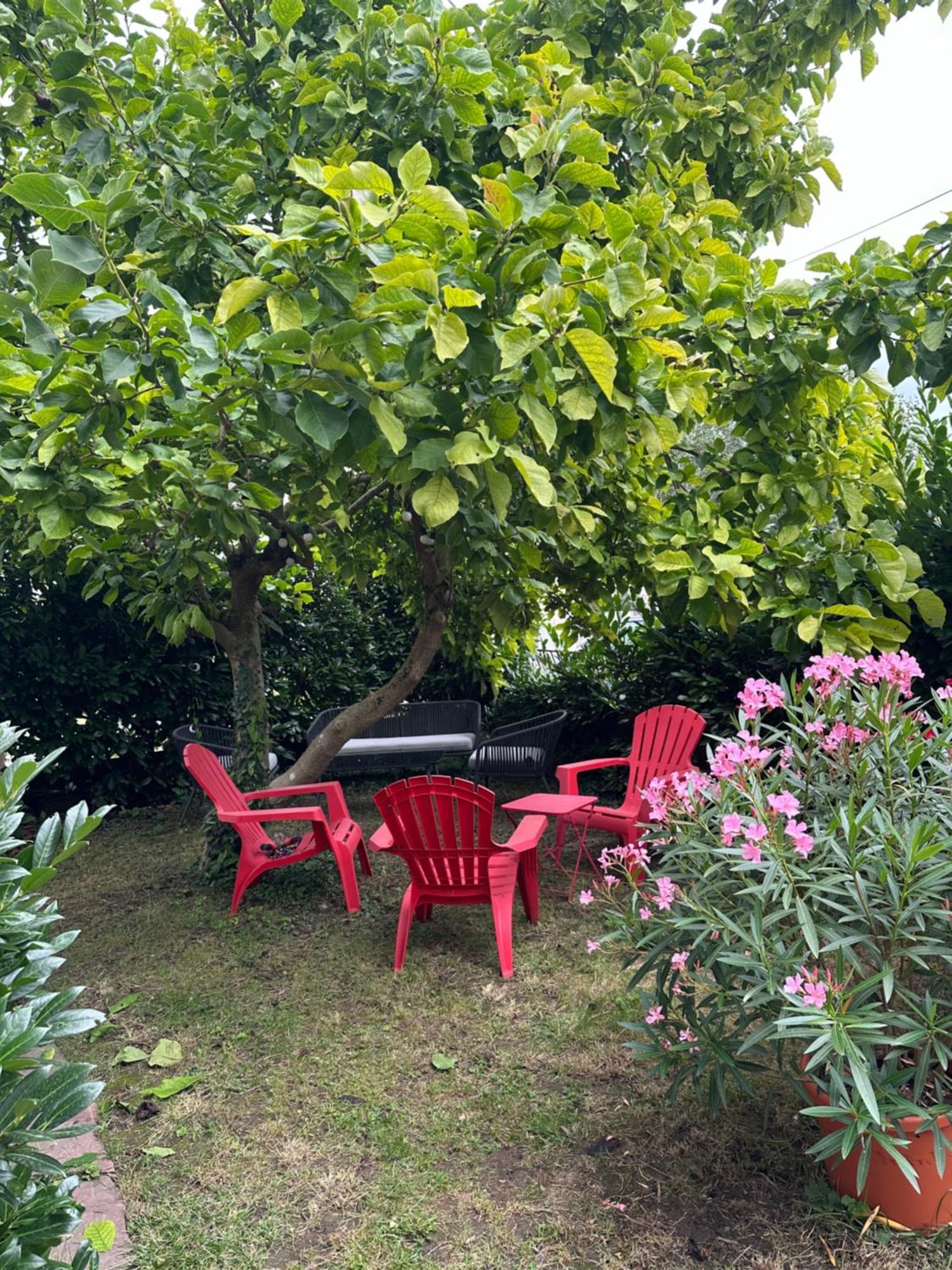 Villa Schmitt 塞莱斯塔 外观 照片